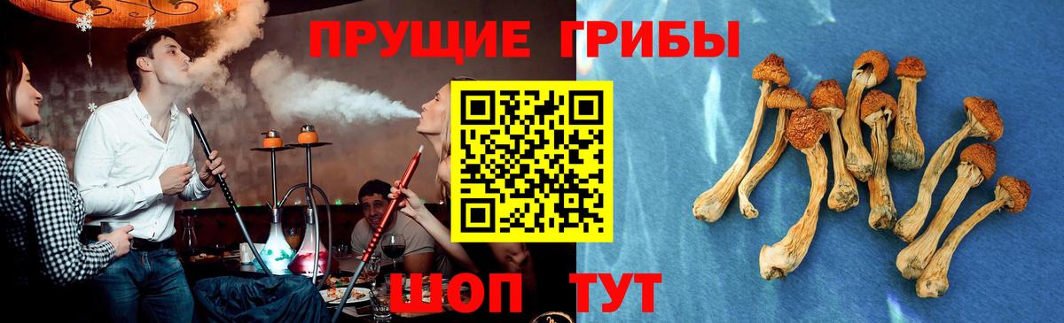 Шали  Псилоцибиновые грибы мицелий  Вход с VPN 